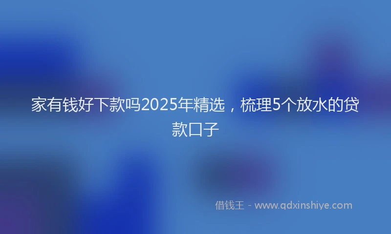 家有钱好下款吗2025年精选，梳理5个放水的贷款口子