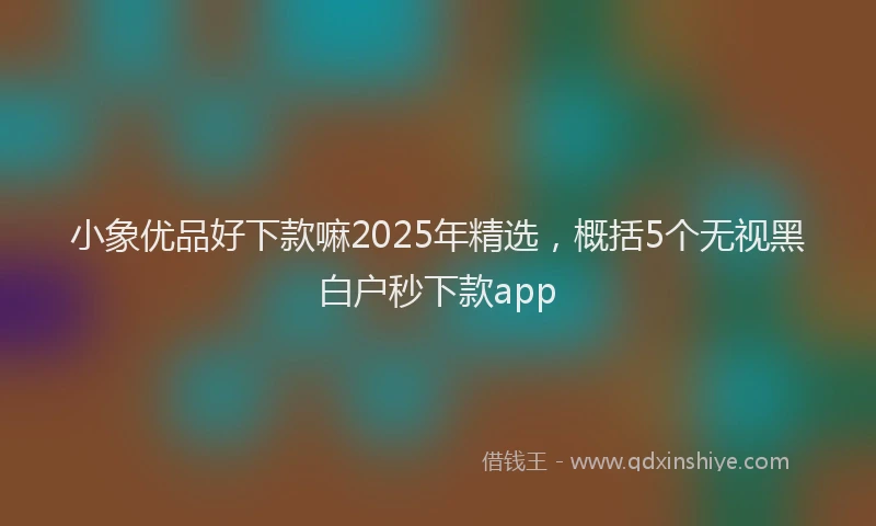 小象优品好下款嘛2025年精选，概括5个无视黑白户秒下款app