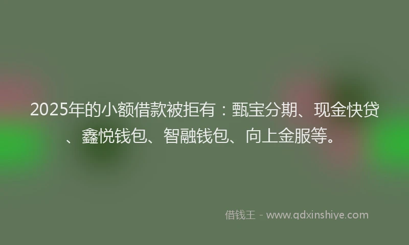 2025年的小额借款被拒有：甄宝分期、现金快贷、鑫悦钱包、智融钱包、向上金服等。