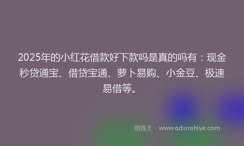 2025年的小红花借款好下款吗是真的吗有：现金秒贷通宝、借贷宝通、萝卜易购、小金豆、极速易借等。