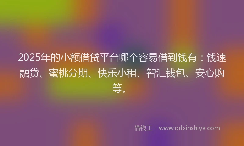 2025年的小额借贷平台哪个容易借到钱有：钱速融贷、蜜桃分期、快乐小租、智汇钱包、安心购等。