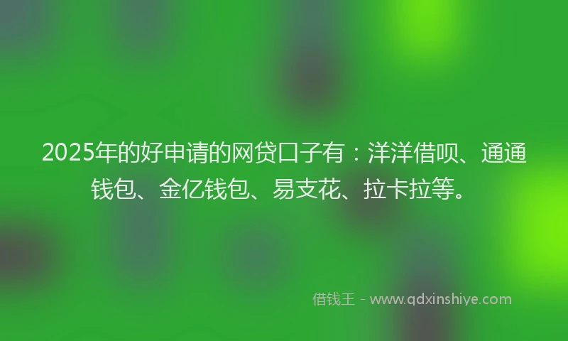 2025年的好申请的网贷口子有：洋洋借呗、通通钱包、金亿钱包、易支花、拉卡拉等。