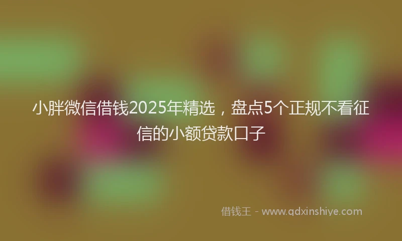 小胖微信借钱2025年精选，盘点5个正规不看征信的小额贷款口子
