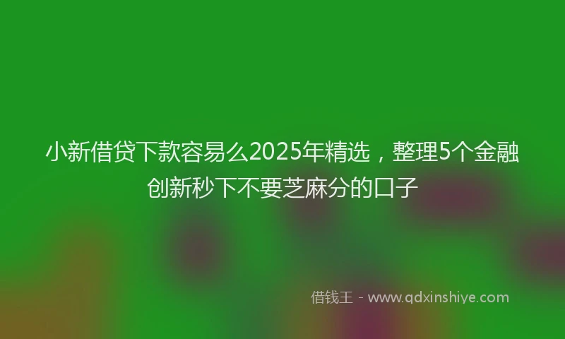 小新借贷下款容易么2025年精选，整理5个金融创新秒下不要芝麻分的口子