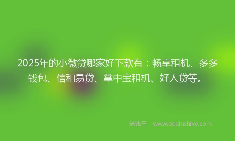 2025年的小微贷哪家好下款有：畅享租机、多多钱包、信和易贷、掌中宝租机、好人贷等。