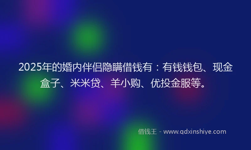 2025年的婚内伴侣隐瞒借钱有：有钱钱包、现金盒子、米米贷、羊小购、优投金服等。