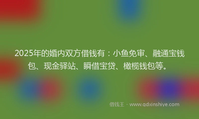2025年的婚内双方借钱有：小鱼免审、融通宝钱包、现金驿站、瞬借宝贷、橄榄钱包等。