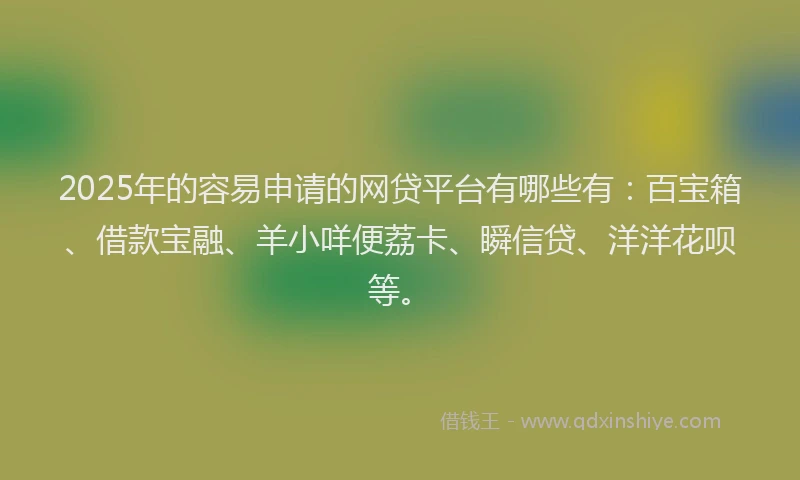 2025年的容易申请的网贷平台有哪些有：百宝箱、借款宝融、羊小咩便荔卡、瞬信贷、洋洋花呗等。