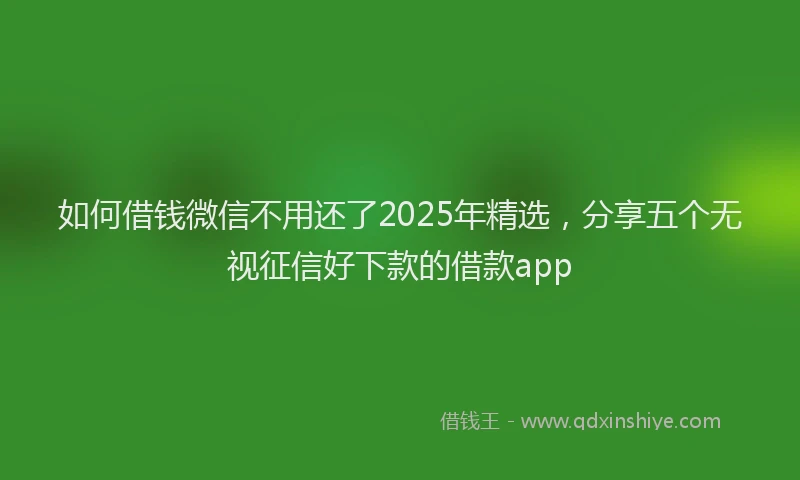 如何借钱微信不用还了2025年精选，分享五个无视征信好下款的借款app