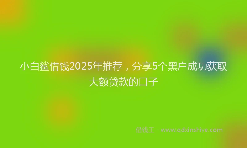 小白鲨借钱2025年推荐，分享5个黑户成功获取大额贷款的口子