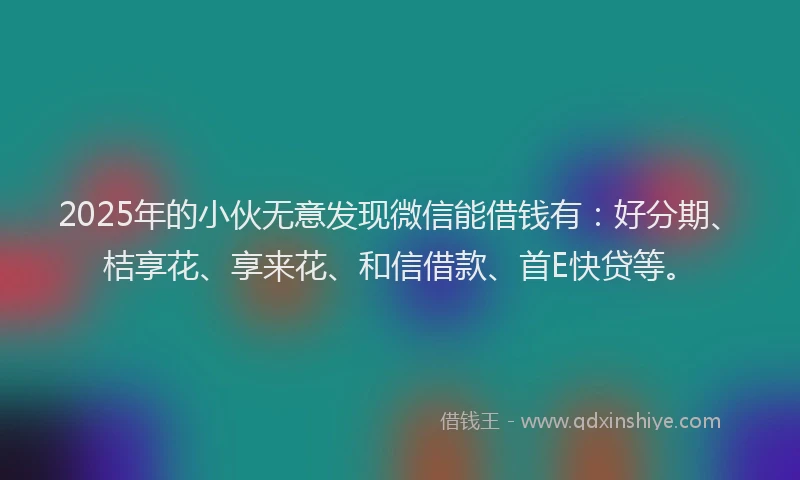 2025年的小伙无意发现微信能借钱有：好分期、桔享花、享来花、和信借款、首E快贷等。