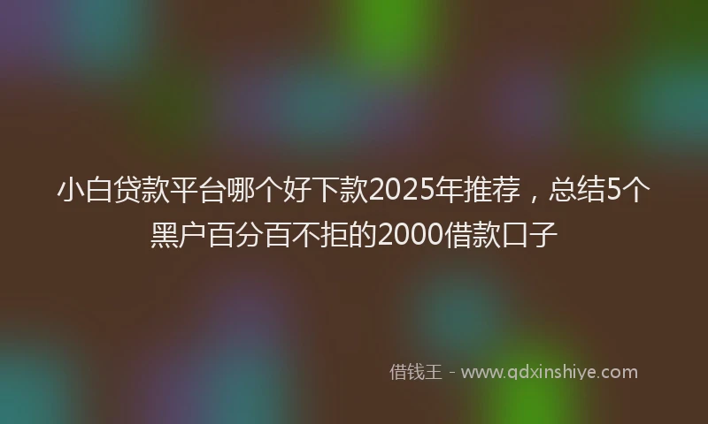 小白贷款平台哪个好下款2025年推荐，总结5个黑户百分百不拒的2000借款口子