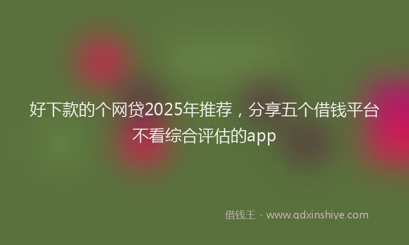 好下款的个网贷2025年推荐，分享五个借钱平台不看综合评估的app