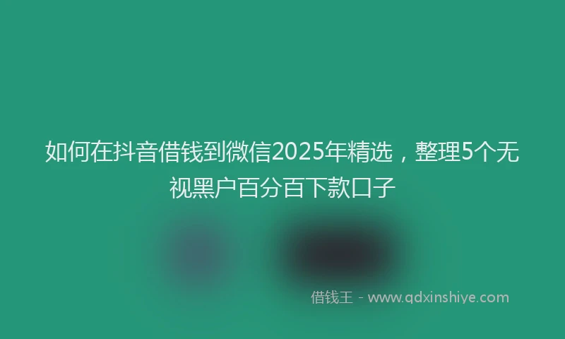 如何在抖音借钱到微信2025年精选，整理5个无视黑户百分百下款口子