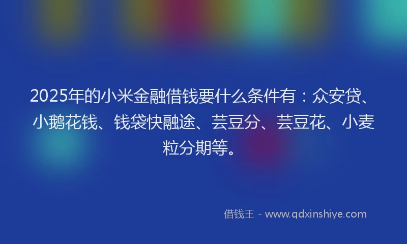 2025年的小米金融借钱要什么条件有：众安贷、小鹅花钱、钱袋快融途、芸豆分、芸豆花、小麦粒分期等。