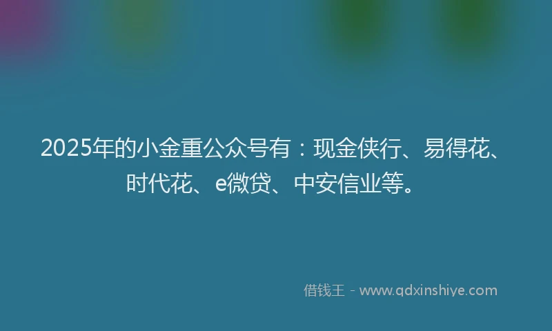 2025年的小金重公众号有：现金侠行、易得花、时代花、e微贷、中安信业等。