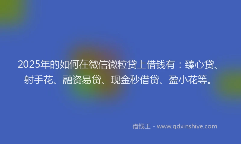 2025年的如何在微信微粒贷上借钱有：臻心贷、射手花、融资易贷、现金秒借贷、盈小花等。