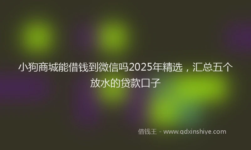 小狗商城能借钱到微信吗2025年精选，汇总五个放水的贷款口子