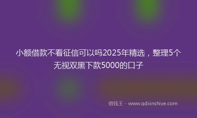 小额借款不看征信可以吗2025年精选,整理5个无视双黑下款5000的口子
