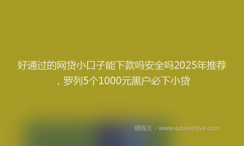 好通过的网贷小口子能下款吗安全吗2025年推荐，罗列5个1000元黑户必下小贷