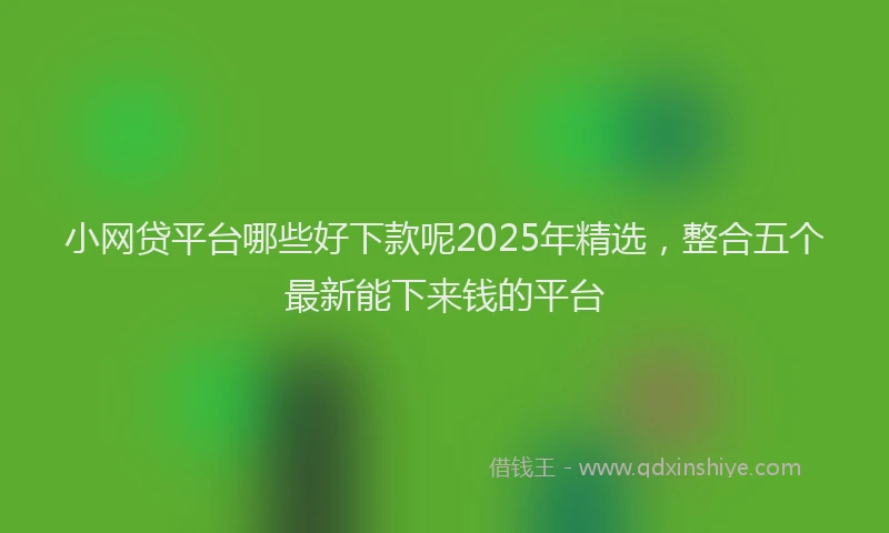 小网贷平台哪些好下款呢2025年精选，整合五个最新能下来钱的平台