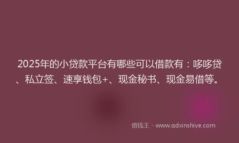 2025年的小贷款平台有哪些可以借款有：哆哆贷、私立签、速享钱包+、现金秘书、现金易借等。