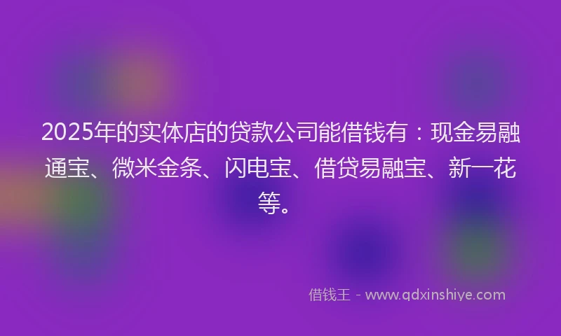 2025年的实体店的贷款公司能借钱有：现金易融通宝、微米金条、闪电宝、借贷易融宝、新一花等。