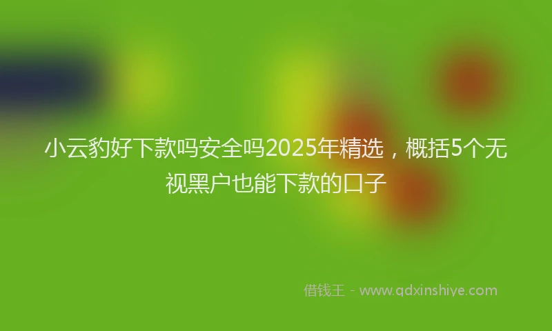 小云豹好下款吗安全吗2025年精选，概括5个无视黑户也能下款的口子