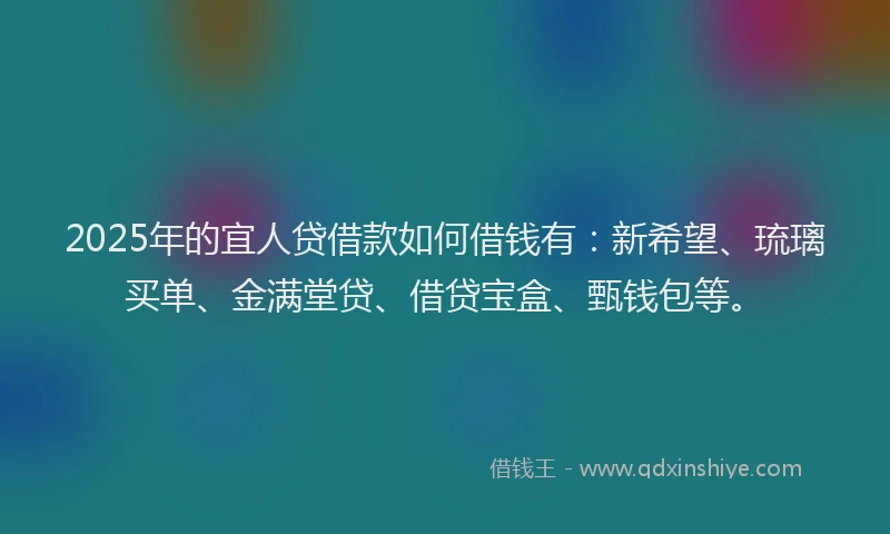 2025年的宜人贷借款如何借钱有：新希望、琉璃买单、金满堂贷、借贷宝盒、甄钱包等。