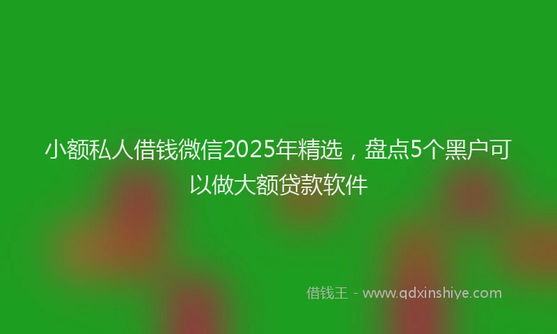 小额私人借钱微信2025年精选，盘点5个黑户可以做大额贷款软件