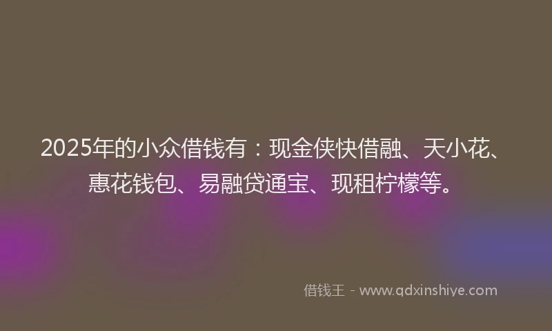 2025年的小众借钱有：现金侠快借融、天小花、惠花钱包、易融贷通宝、现租柠檬等。