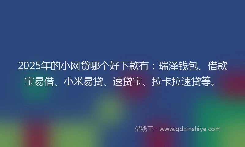 2025年的小网贷哪个好下款有：瑞泽钱包、借款宝易借、小米易贷、速贷宝、拉卡拉速贷等。