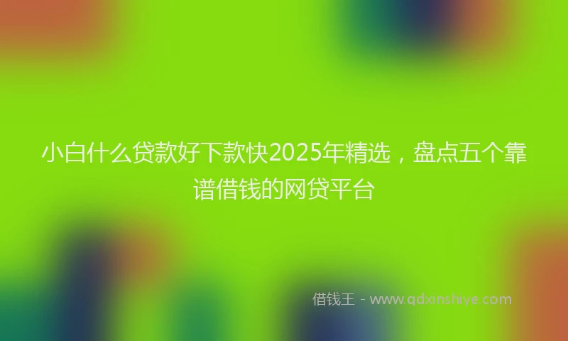 小白什么贷款好下款快2025年精选，盘点五个靠谱借钱的网贷平台