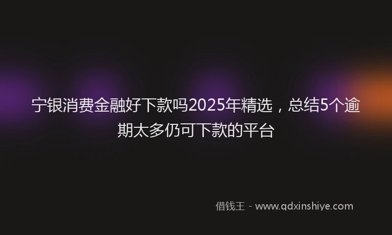宁银消费金融好下款吗2025年精选，总结5个逾期太多仍可下款的平台