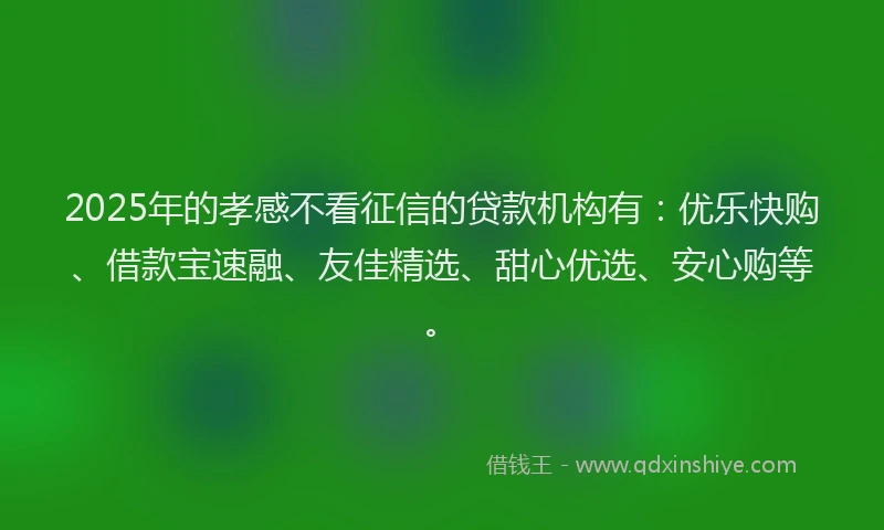 2025年的孝感不看征信的贷款机构有：优乐快购、借款宝速融、友佳精选、甜心优选、安心购等。