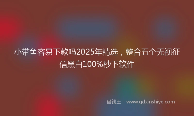 小带鱼容易下款吗2025年精选，整合五个无视征信黑白100%秒下软件