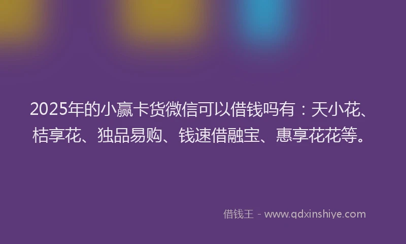2025年的小赢卡货微信可以借钱吗有：天小花、桔享花、独品易购、钱速借融宝、惠享花花等。