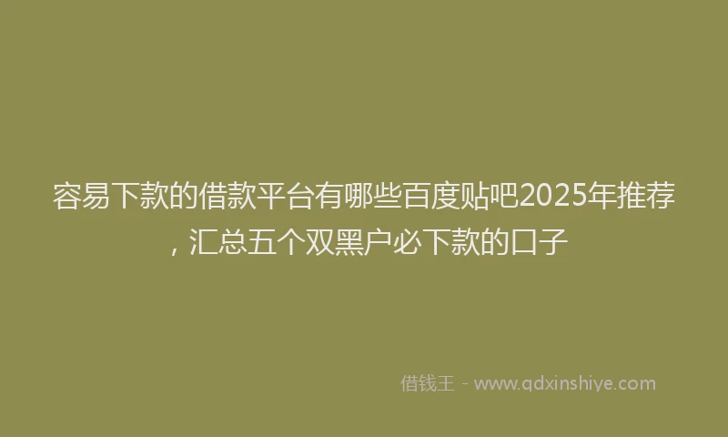 容易下款的借款平台有哪些百度贴吧2025年推荐，汇总五个双黑户必下款的口子