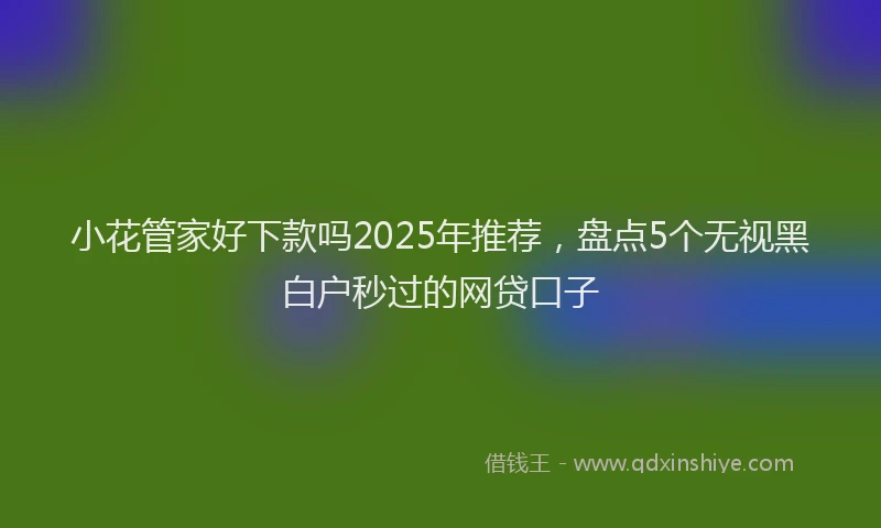 小花管家好下款吗2025年推荐，盘点5个无视黑白户秒过的网贷口子