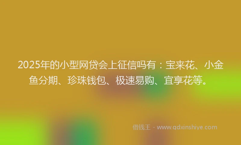 2025年的小型网贷会上征信吗有：宝来花、小金鱼分期、珍珠钱包、极速易购、宜享花等。