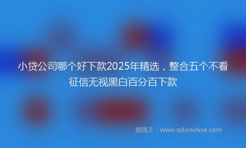 小贷公司哪个好下款2025年精选，整合五个不看征信无视黑白百分百下款