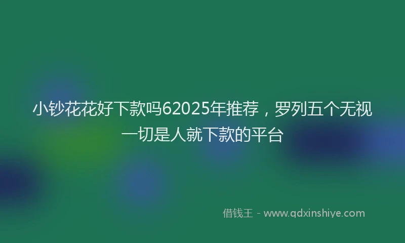 小钞花花好下款吗62025年推荐，罗列五个无视一切是人就下款的平台
