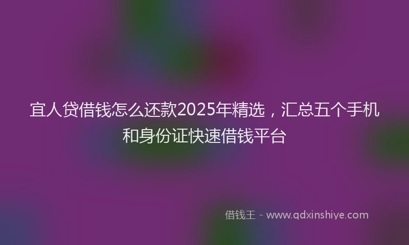 宜人贷借钱怎么还款2025年精选，汇总五个手机和身份证快速借钱平台