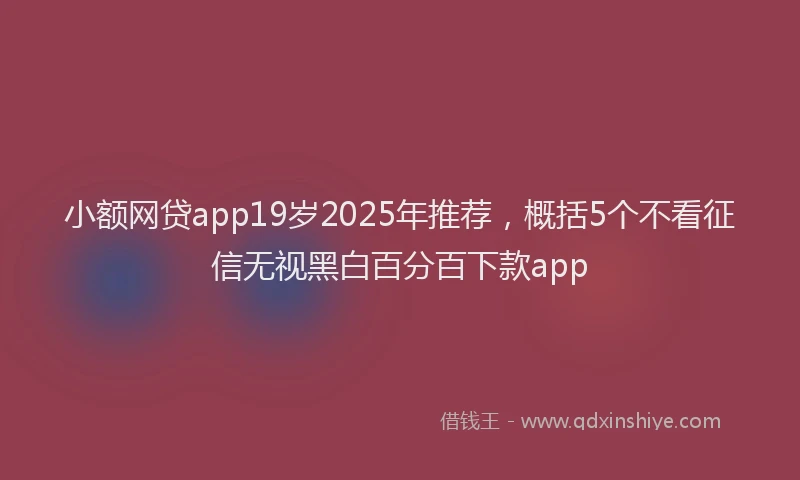 小额网贷app19岁2025年推荐，概括5个不看征信无视黑白百分百下款app