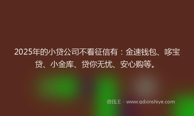 2025年的小贷公司不看征信有：金速钱包、哆宝贷、小金库、贷你无忧、安心购等。