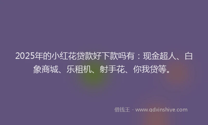 2025年的小红花贷款好下款吗有：现金超人、白象商城、乐租机、射手花、你我贷等。