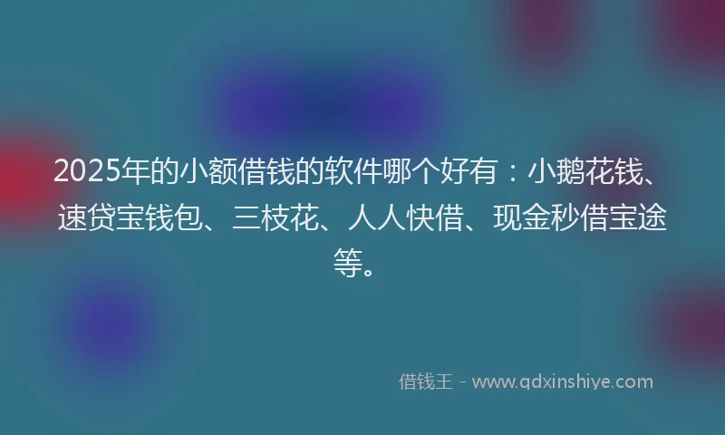 2025年的小额借钱的软件哪个好有：小鹅花钱、速贷宝钱包、三枝花、人人快借、现金秒借宝途等。
