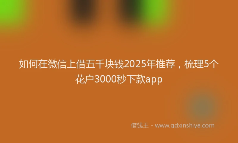 如何在微信上借五千块钱2025年推荐，梳理5个花户3000秒下款app
