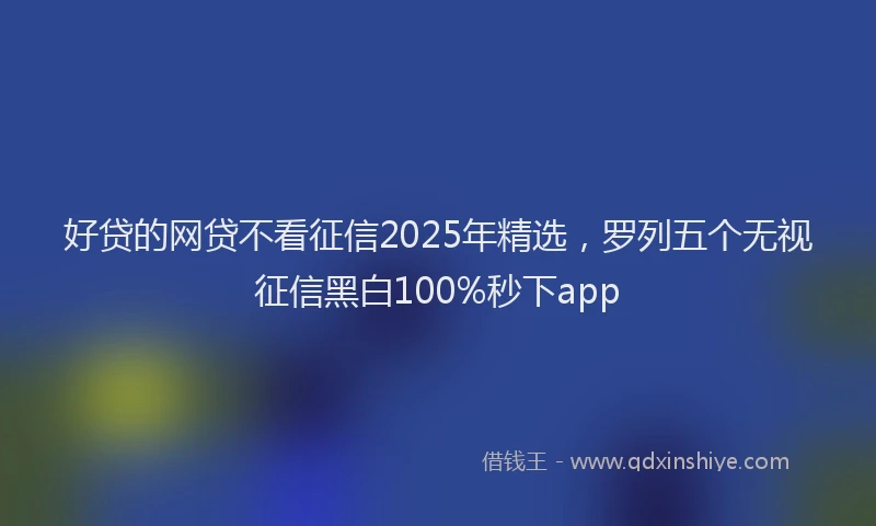 好贷的网贷不看征信2025年精选，罗列五个无视征信黑白100%秒下app