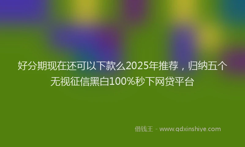 好分期现在还可以下款么2025年推荐，归纳五个无视征信黑白100%秒下网贷平台
